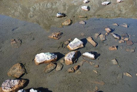 Wohnberbauung Arpiglia, Zuoz